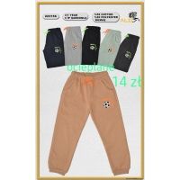 Spodnie ocieplane chlopiece  H16102205 Roz 3-7 mix kolor 
