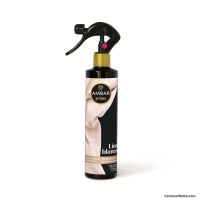 Ambientador spray,premium quality 280ml  110224-20 (3)
